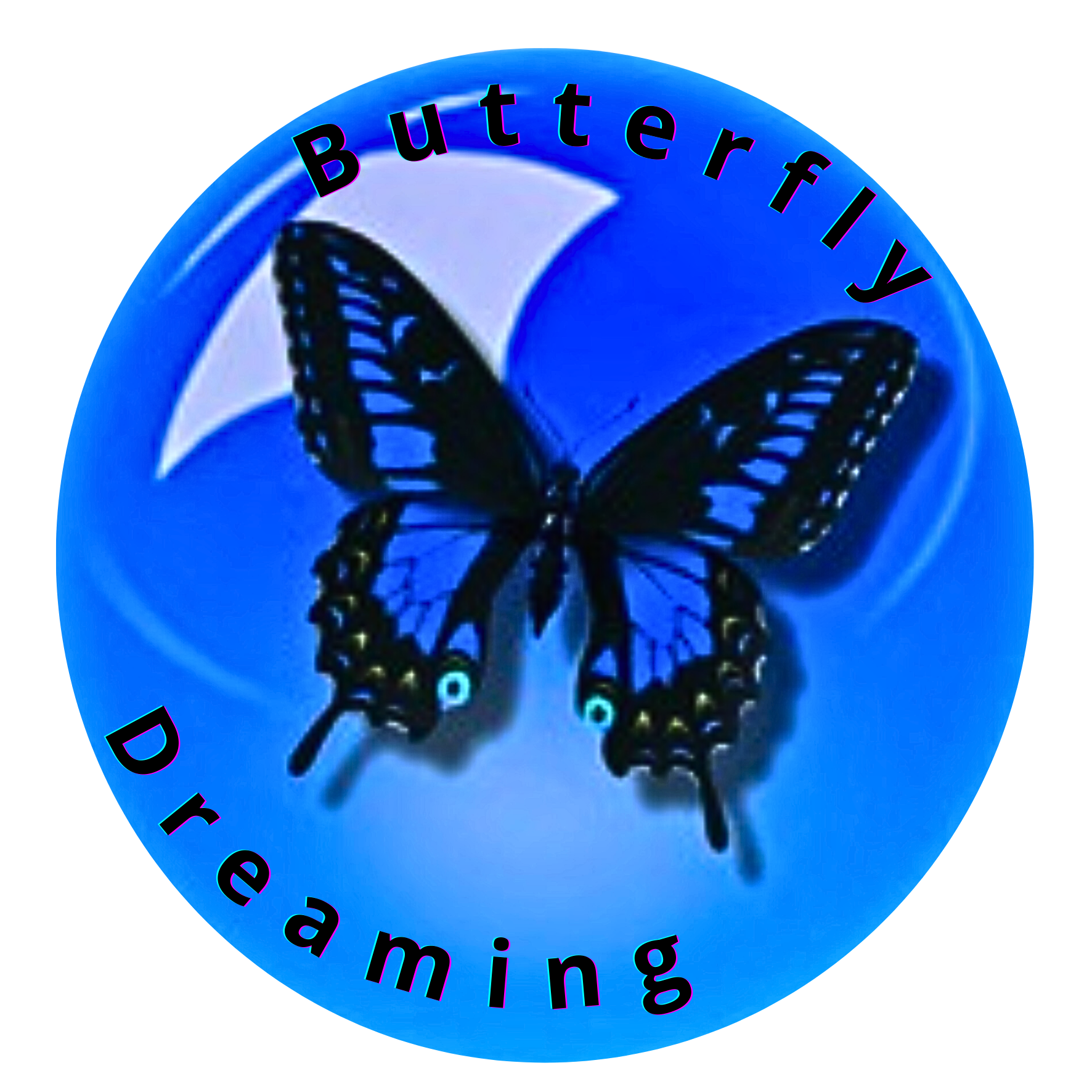 Image of Black butterfly with blue background